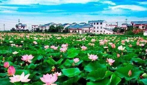 福建農村戶口升值 這些人身價暴漲