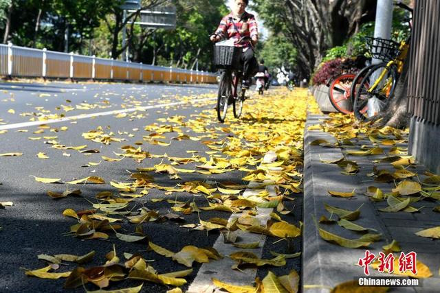 別樣福州 春日賞秋景