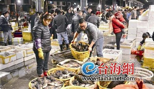 廈門海域休漁三個半月 水產(chǎn)品價格將漲20%