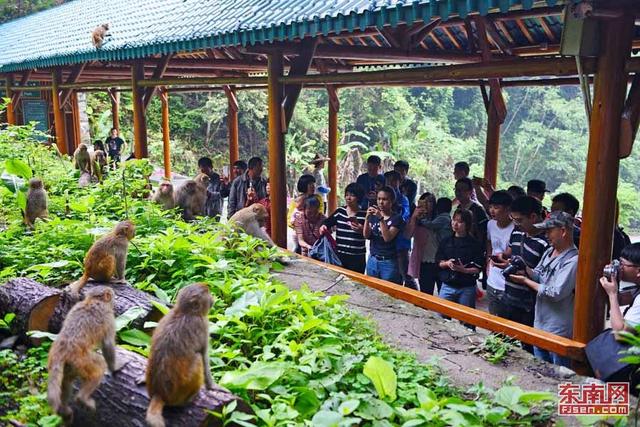 永春牛姆林景區(qū)重裝迎客