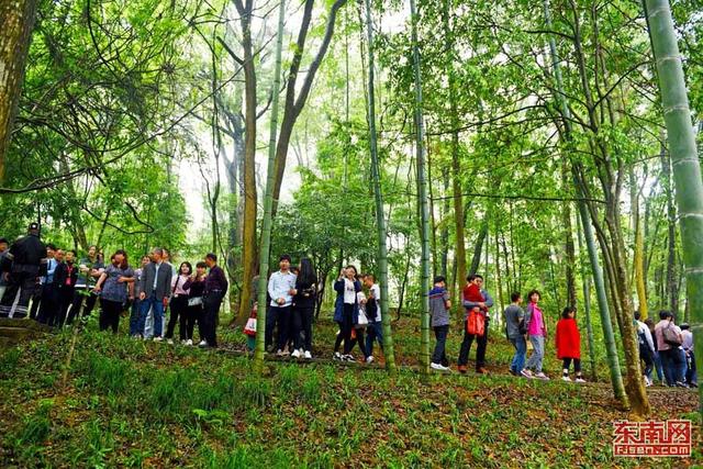 永春牛姆林景區(qū)重裝迎客