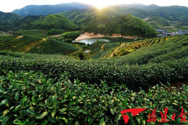 居全國首位！福建省累計批辦臺資農業項目2650個