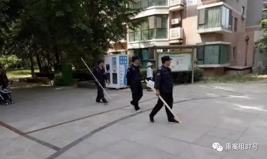 ▲傷人狗出沒地區周邊小區組成“打狗隊”。 &nbsp;&nbsp; 網絡圖片