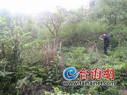 龍巖漳平一頭水牛發瘋撞死主人 特警圍堵將其擊斃