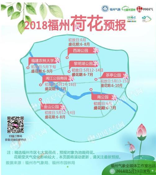 福州首次發(fā)布賞荷預(yù)報(bào) 5月中旬荷花綻放