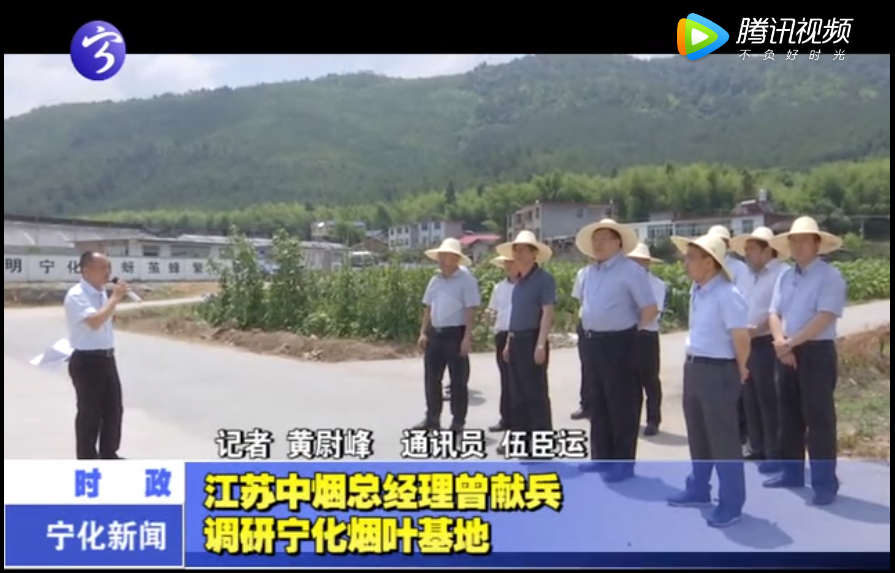 江蘇中煙總經理曾獻兵調研寧化煙葉基地