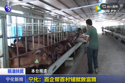 寧化：百企幫百村鋪就致富路