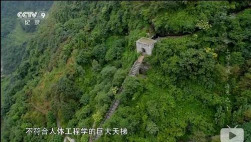 視頻截圖：海龍屯的天梯