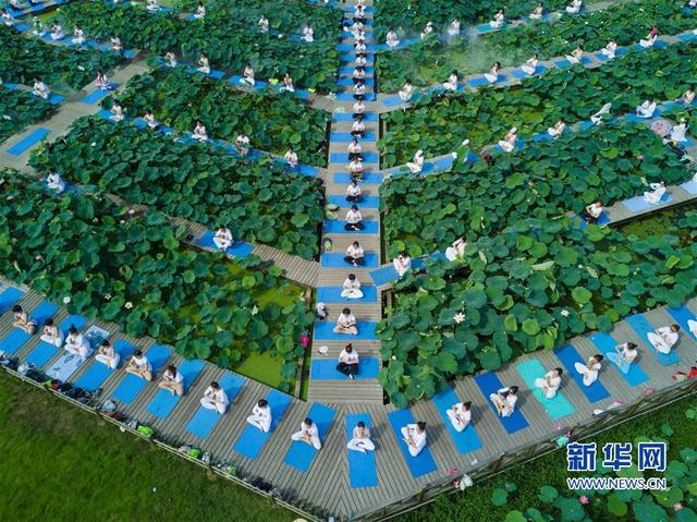 （社會）（5）福建建寧：蓮田花海瑜伽秀