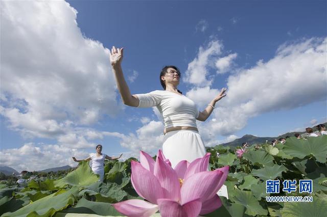 （社會）（2）福建建寧：蓮田花海瑜伽秀