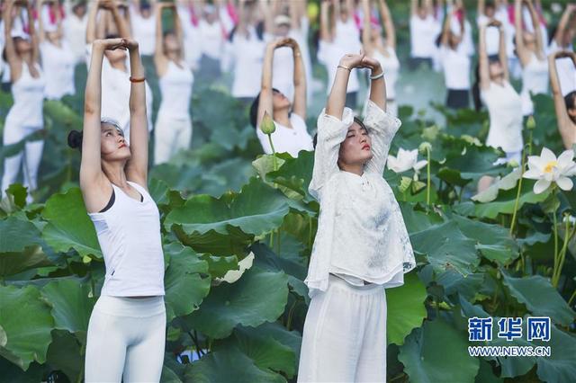（社會）（4）福建建寧：蓮田花海瑜伽秀