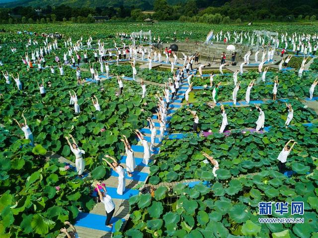 （社會）（6）福建建寧：蓮田花海瑜伽秀