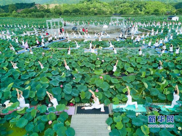 （社會）（3）福建建寧：蓮田花海瑜伽秀
