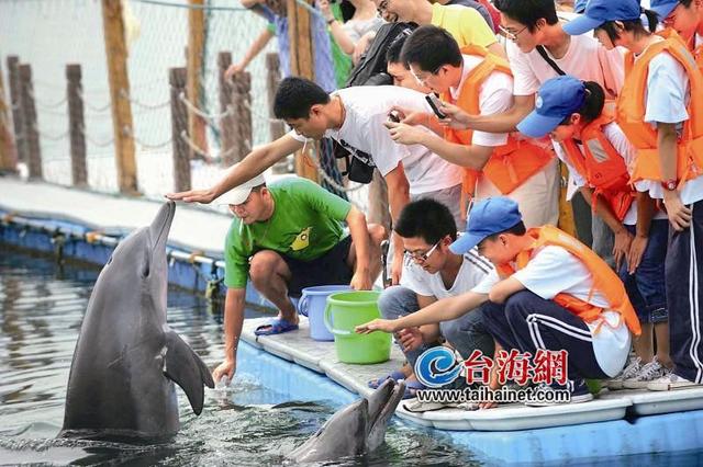 夏令營(yíng)種類(lèi)多種多樣 父母該如何選擇暑期夏令營(yíng)