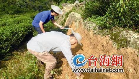 長泰發現一處龜山遺址 預計9月份進場發掘