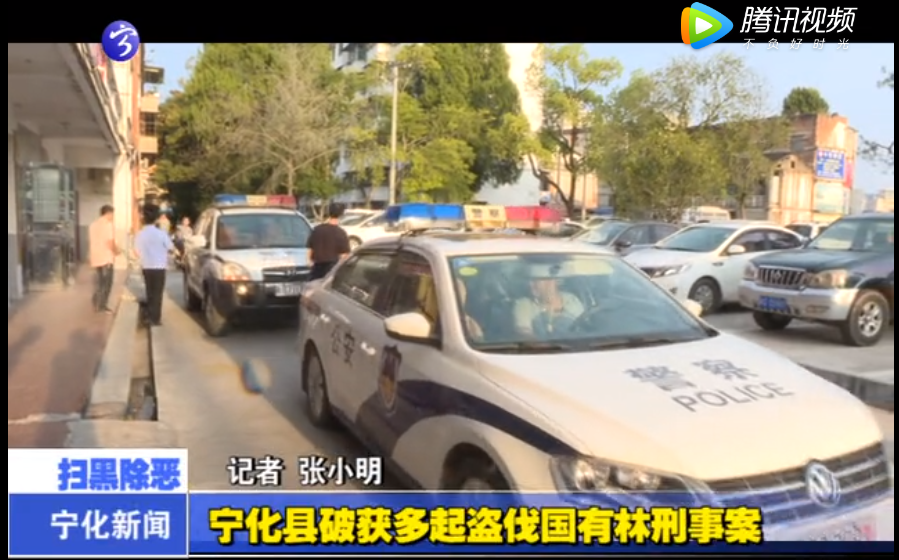 寧化縣破獲多起盜伐國有林刑事案