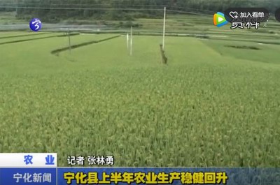 寧化縣上半年農業生產穩回升