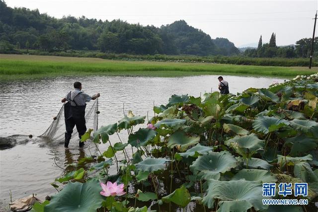 (環境)(3)浙贛閩聯手 共護綠水青山