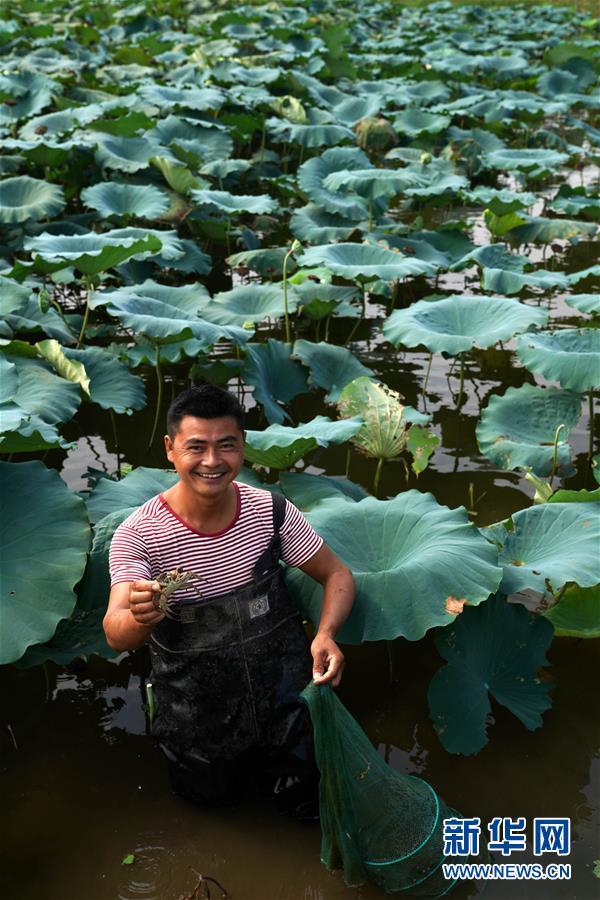 (環境)(4)浙贛閩聯手 共護綠水青山