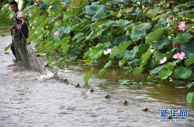 (環境)(2)浙贛閩聯手 共護綠水青山