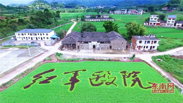 福建打造稻田藝術省份 助力鄉村振興