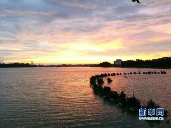 福建將全面實施湖長制 小微水體庫塘可按片設湖長