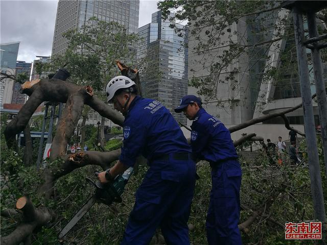 廈門(mén)飛鷹救援隊(duì)抵達(dá)深圳 參與“山竹”災(zāi)后救援