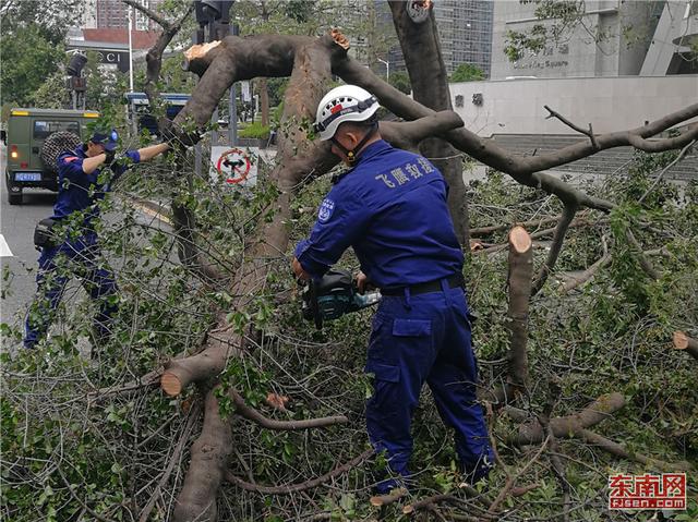 廈門(mén)飛鷹救援隊(duì)抵達(dá)深圳 參與“山竹”災(zāi)后救援