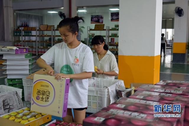 福建武平：金秋豐收季 喜迎百香果采摘節