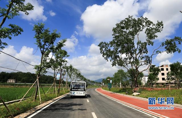 福建武平：金秋豐收季 喜迎百香果采摘節