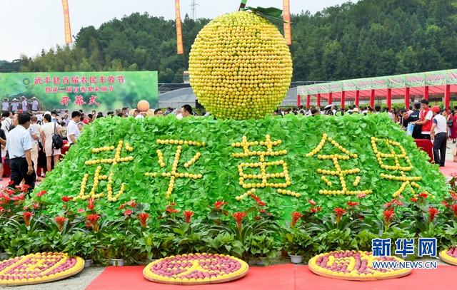 福建武平：金秋豐收季 喜迎百香果采摘節