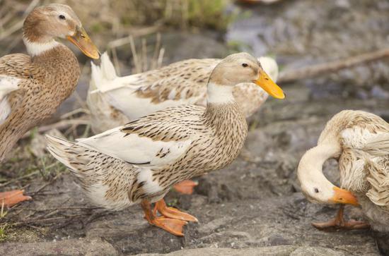 來源視覺中國，與內文無關