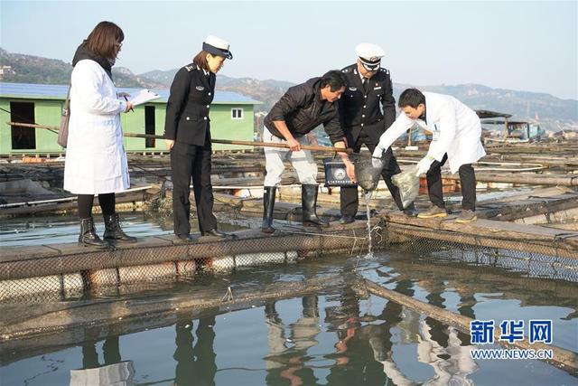 福建開展水產(chǎn)養(yǎng)殖與水產(chǎn)品質(zhì)量安全專項(xiàng)執(zhí)法行動