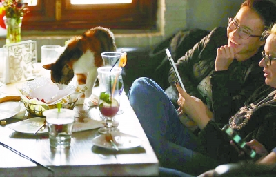 左手咖啡右手抱貓 寵物餐廳衛生風險誰來監管？