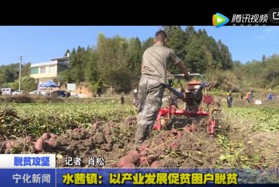 水茜鎮：以產業發展促貧困戶脫貧