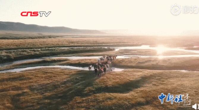 男友打撈落水女童她急救，他們有大學生最美的樣子！