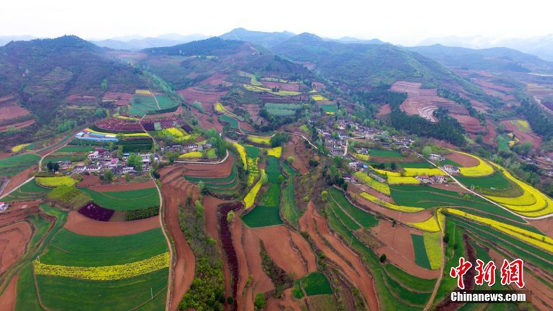 土地如何延包？進城后承包地怎么處置？官方回應