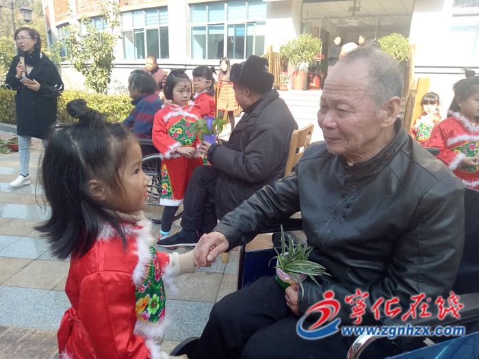 寧化：愛心送上門，為養老院增添一抹綠