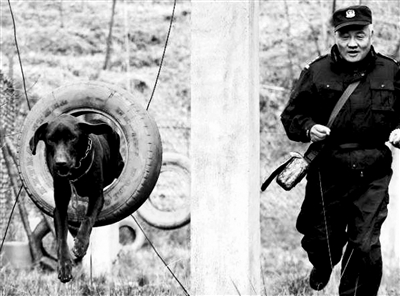 民警自費為退役警犬建“養老院”
