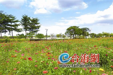 廈門“春節賞花指南”：賞花賞春色游園游歡樂