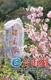 廈門“春節賞花指南”：賞花賞春色游園游歡樂