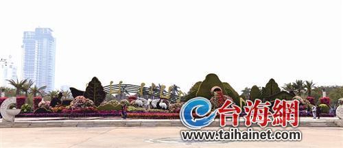 廈門“春節賞花指南”：賞花賞春色游園游歡樂