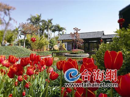 廈門“春節賞花指南”：賞花賞春色游園游歡樂