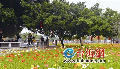 廈門“春節賞花指南”：賞花賞春色游園游歡樂