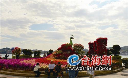 廈門“春節賞花指南”：賞花賞春色游園游歡樂