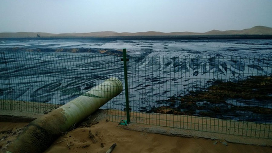  ?騰格里沙漠非法排污事件的新聞照片