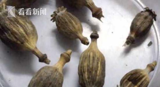 最后，鐵路警方對黃某處以400元的行政罰款，同時收繳了8枚罌粟殼。