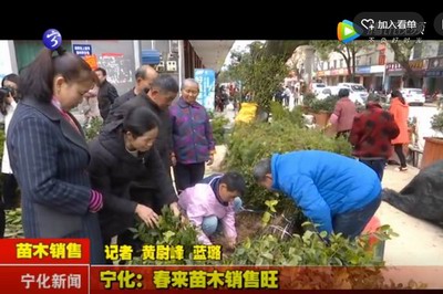 寧化：春來苗木銷售旺