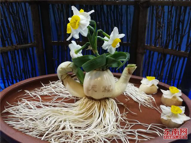 異軍突起 花樣經(jīng)濟閃耀福建年節(jié)市場