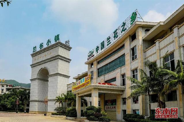 漳州南靖蘭花：從野生資源到高優農業產業的蛻變 